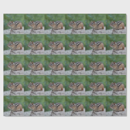 Chipmunk Geschenkpapier (Flach)