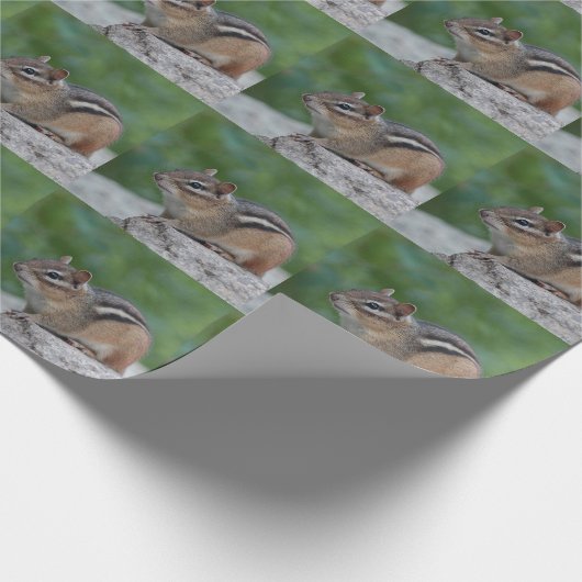 Chipmunk Geschenkpapier (Ecke)