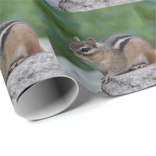 Chipmunk Geschenkpapier (Rolleneckpunkt)