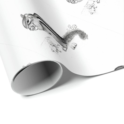 Chipmunk Geschenkpapier (Rolleneckpunkt)