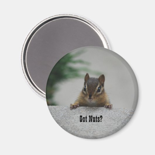 Chipmunk 'Got Nuts' Magnet (Vorderseite/Rückseite)