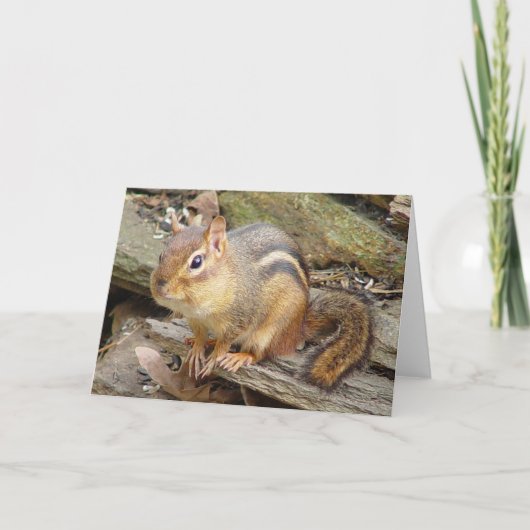 Chipmunk-Grüßkarte 2 Karte (Vorderseite)
