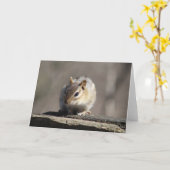 Chipmunk-Grußkarte Karte (Gelbe Blume)