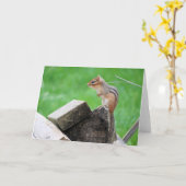 Chipmunk-Grußkarte Karte (Gelbe Blume)