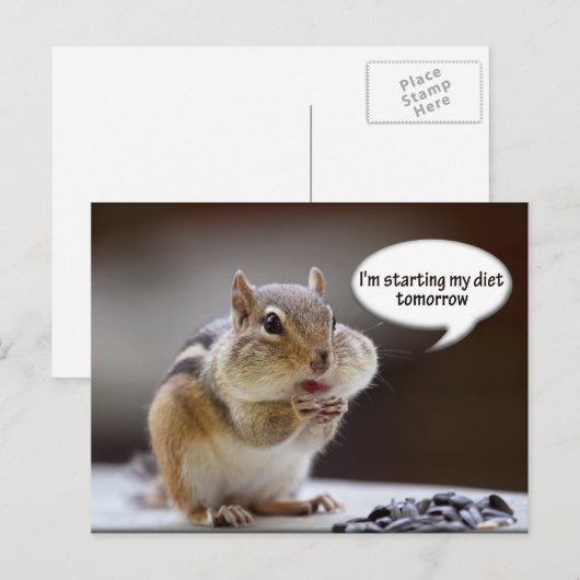 Chipmunk im Diet-Foto Postkarte (Vorne/Hinten)