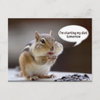 Chipmunk im Diet-Foto