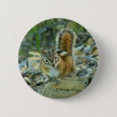 Chipmunk im Glacier-Nationalpark Button (Vorderseite)