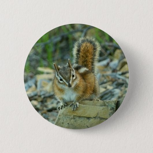 Chipmunk im Glacier-Nationalpark Button (Vorderseite)