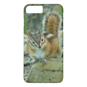 Chipmunk im Glacier-Nationalpark iPhone 8 Plus/7 Plus Hülle