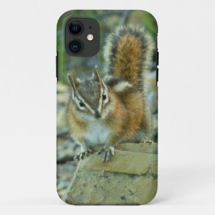 Chipmunk im Glacier-Nationalpark Case-Mate iPhone Hülle