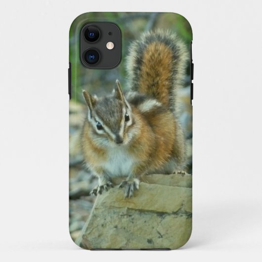 Chipmunk im Glacier-Nationalpark Case-Mate iPhone Hülle (Rückseite)