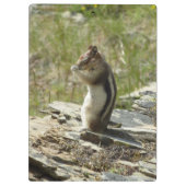 Chipmunk im Glacier-Nationalpark II Klemmbrett (Rückseite)