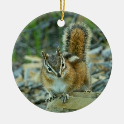 Chipmunk im Glacier-Nationalpark Keramik Ornament (Vorne)