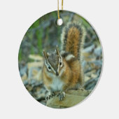 Chipmunk im Glacier-Nationalpark Keramik Ornament (Links)