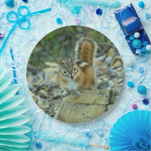 Chipmunk im Glacier-Nationalpark Pappteller (Party)