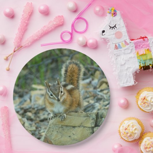 Chipmunk im Glacier-Nationalpark Pappteller (Party)