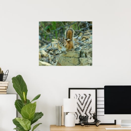 Chipmunk im Glacier-Nationalpark Poster (Heimbüro)