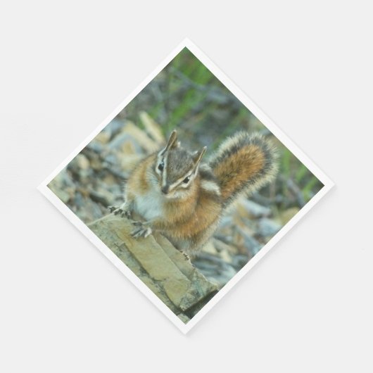 Chipmunk im Glacier-Nationalpark Serviette (Ecke)