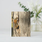 Chipmunk im Herbst Postkarte (Stehend Vorderseite)