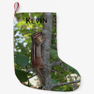 Chipmunk im Holz Kleiner Weihnachtsstrumpf