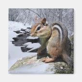 Chipmunk im Schnee Magnet (Vorne)