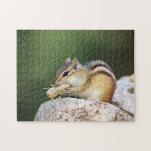 Chipmunk in den Adirondacks Puzzle