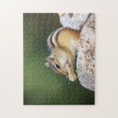 Chipmunk in den Adirondacks Puzzle (Vertikal)