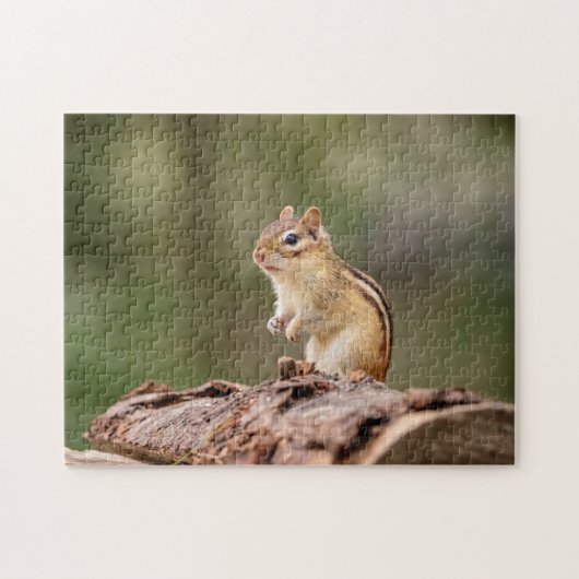 Chipmunk in den Adirondacks Puzzle (Horizontal)