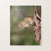 Chipmunk in den Adirondacks Puzzle (Vertikal)