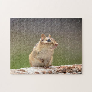 Chipmunk in den Adirondacks Puzzle