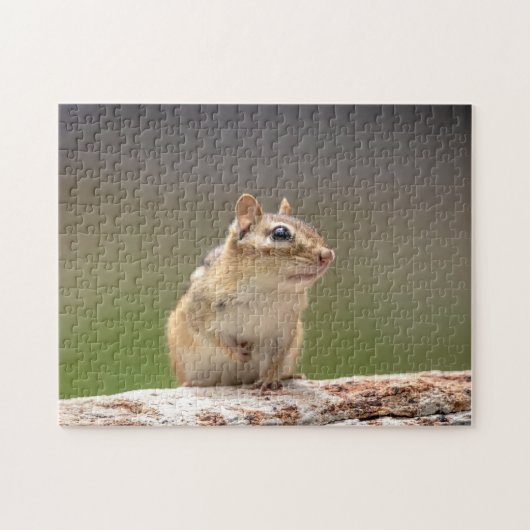 Chipmunk in den Adirondacks Puzzle (Horizontal)
