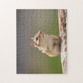 Chipmunk in den Adirondacks Puzzle (Vertikal)
