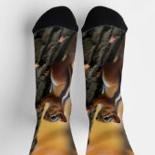 Chipmunk in einem Baum Socken (Oben)