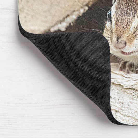 Chipmunk in einem hölzernen Stapel Mousepad (Ecke)
