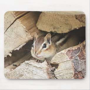 Chipmunk in einem hölzernen Stapel Mousepad