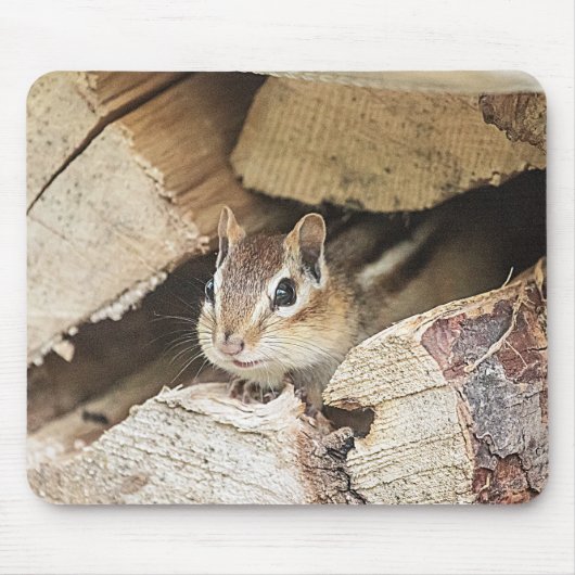 Chipmunk in einem hölzernen Stapel Mousepad (Vorne)