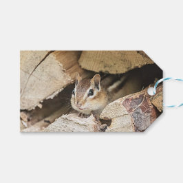 Chipmunk in einem Holzstapel Geschenkanhänger