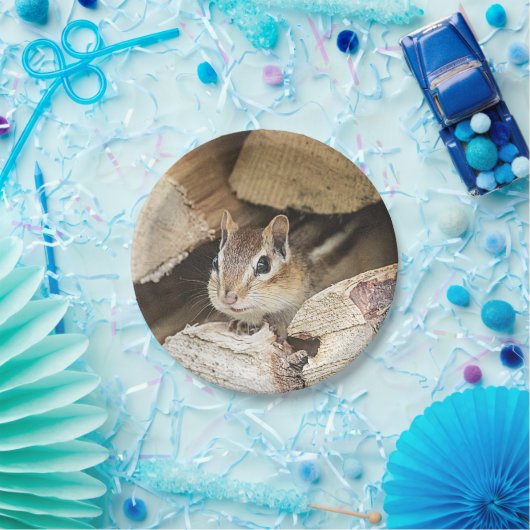 Chipmunk in einem Holzstapel Pappteller (Party)