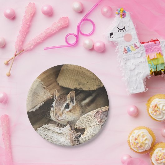 Chipmunk in einem Holzstapel Pappteller (Party)