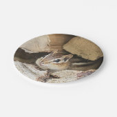 Chipmunk in einem Holzstapel Pappteller (Schrägansicht)