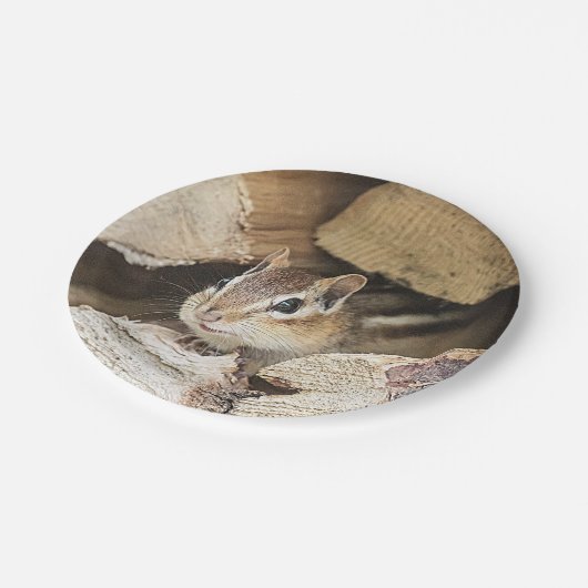 Chipmunk in einem Holzstapel Pappteller (Schrägansicht)