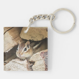 Chipmunk in einem Holzstapel Schlüsselanhänger