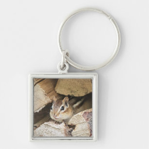 Chipmunk in einem Holzstapel Schlüsselanhänger