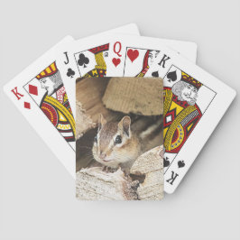 Chipmunk in einem Holzstapel Spielkarten