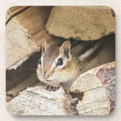 Chipmunk in einem Holzstapel Untersetzer (Vorderseite)