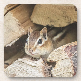 Chipmunk in einem Holzstapel Untersetzer