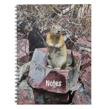 Chipmunk in Glacier National Park Fotografie