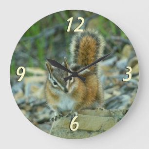 Chipmunk in Glacier National Park Große Wanduhr
