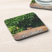 Chipmunk in Hot Springs Getränkeuntersetzer (Linke Seite)