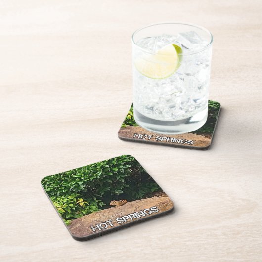 Chipmunk in Hot Springs Getränkeuntersetzer (Rechte Seite)